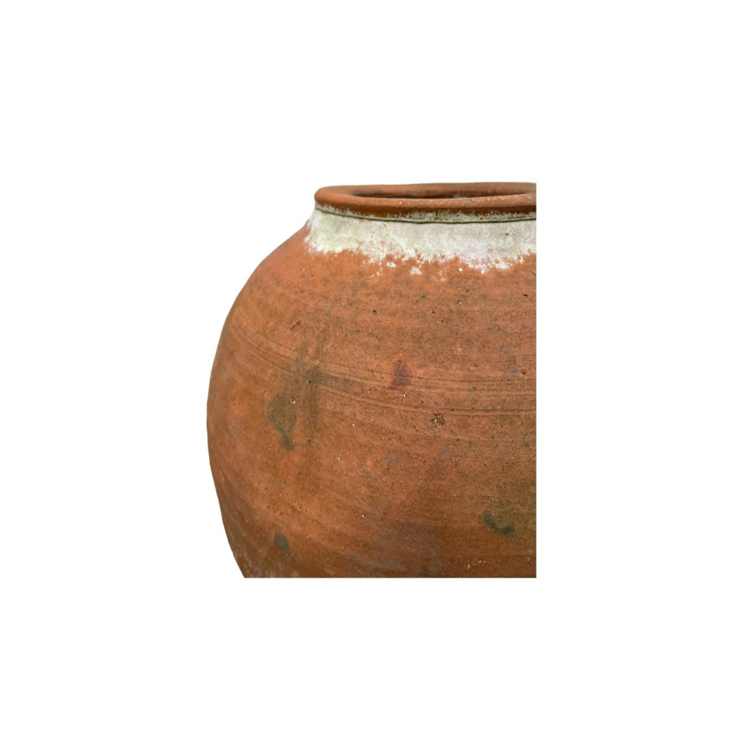 Amphora