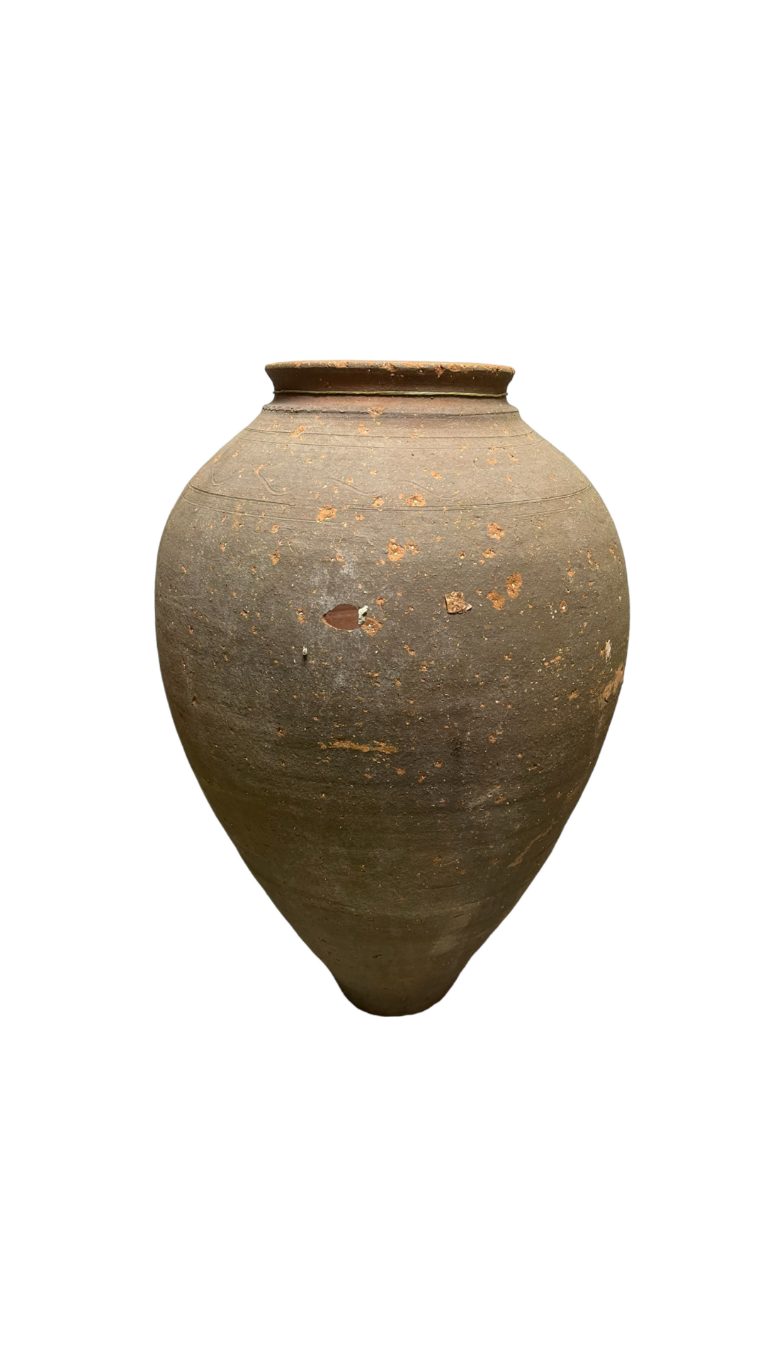 Amphora