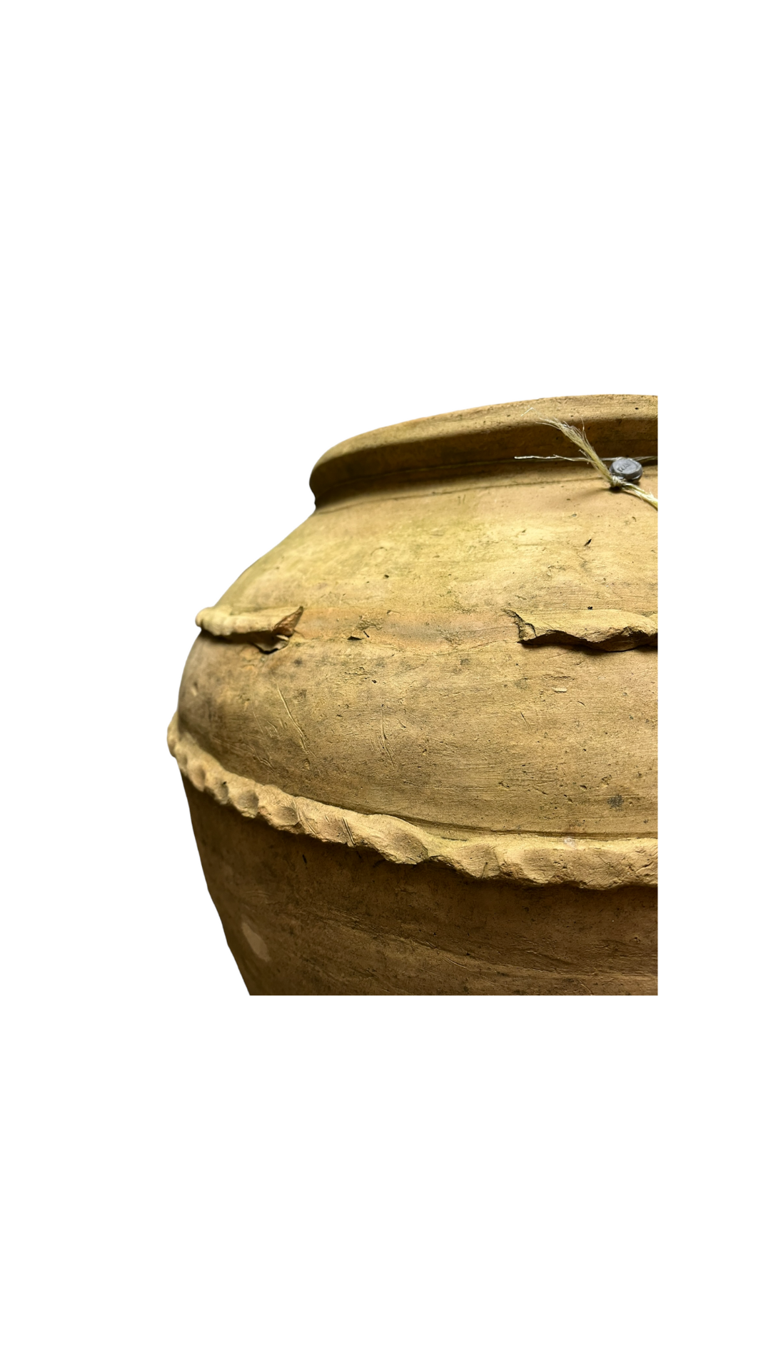 Amphora