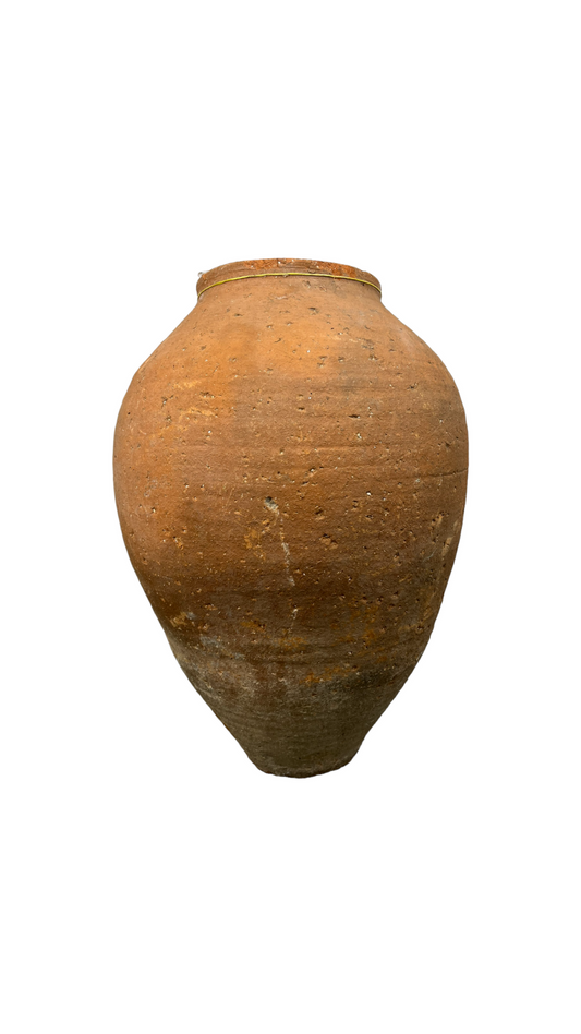 Amphora