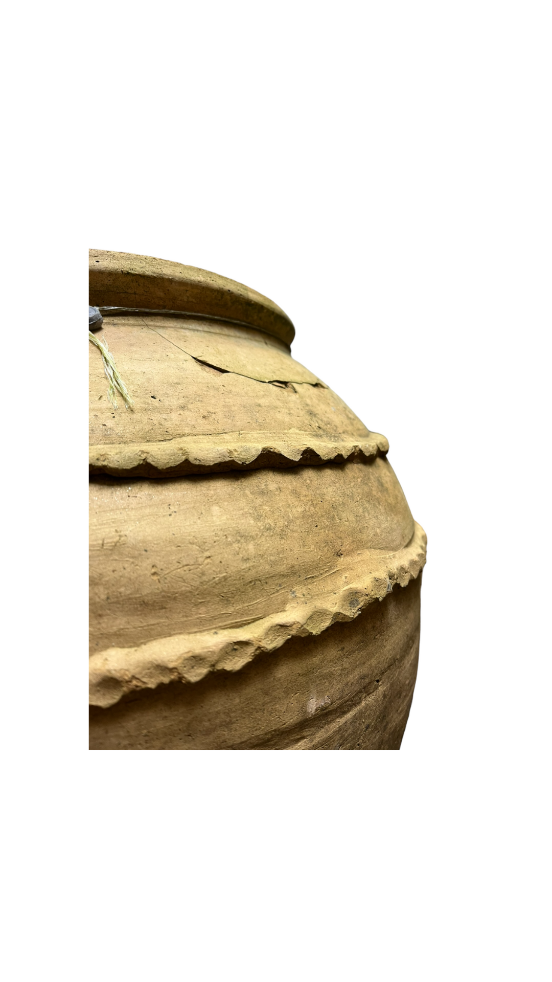 Amphora