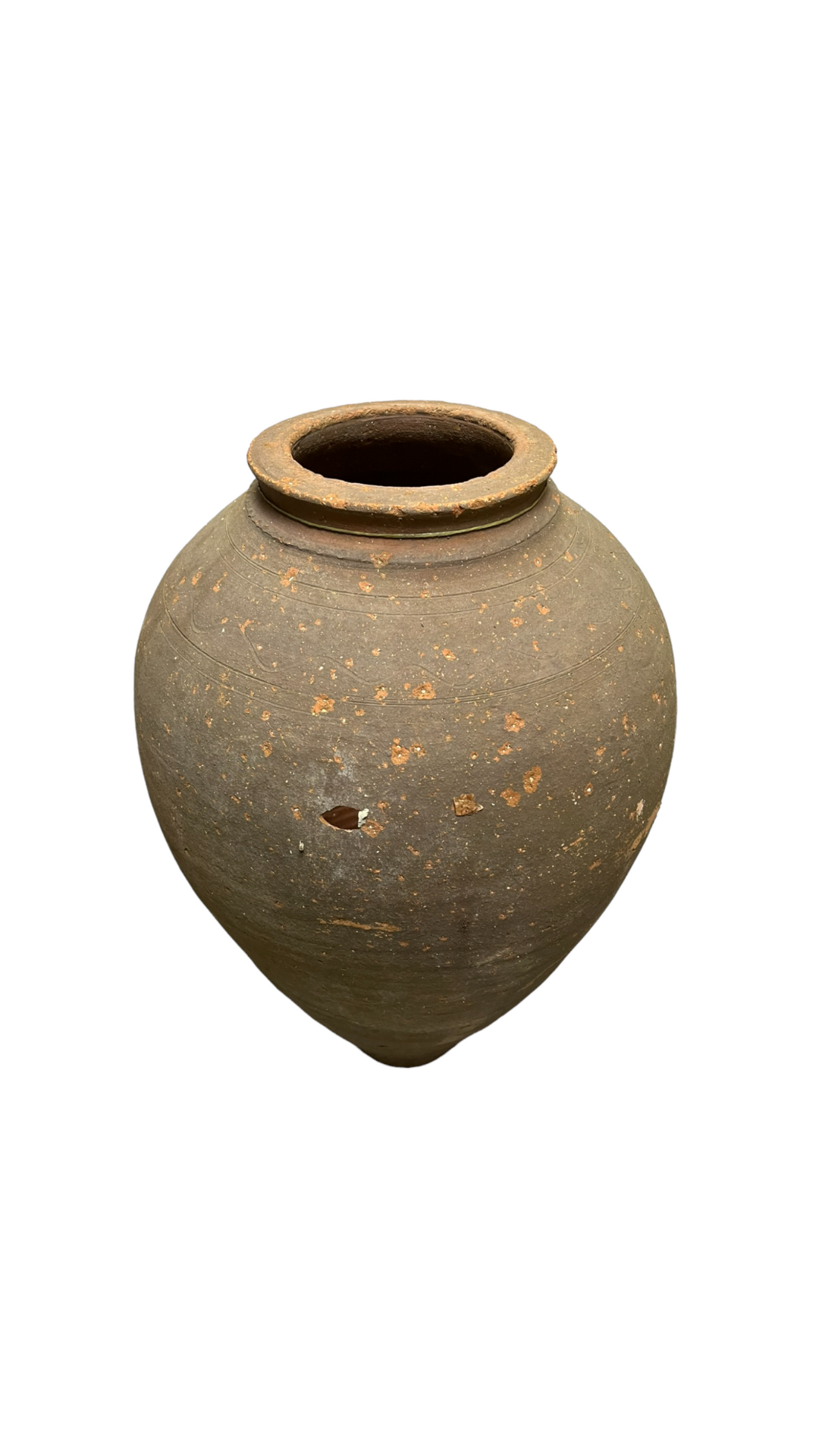 Amphora