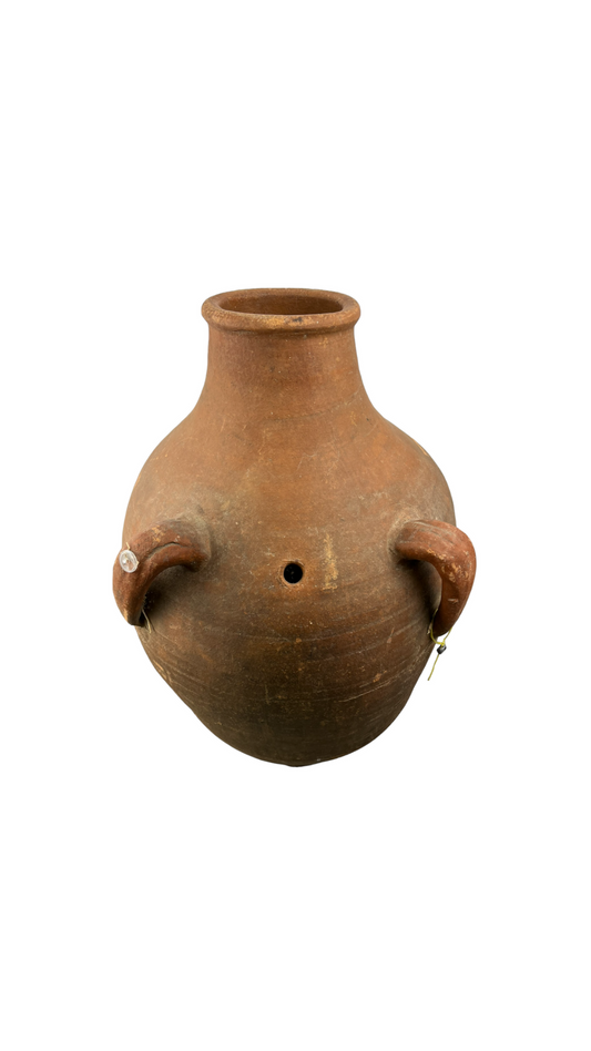 Amphora
