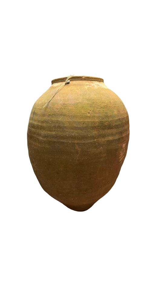 Amphora