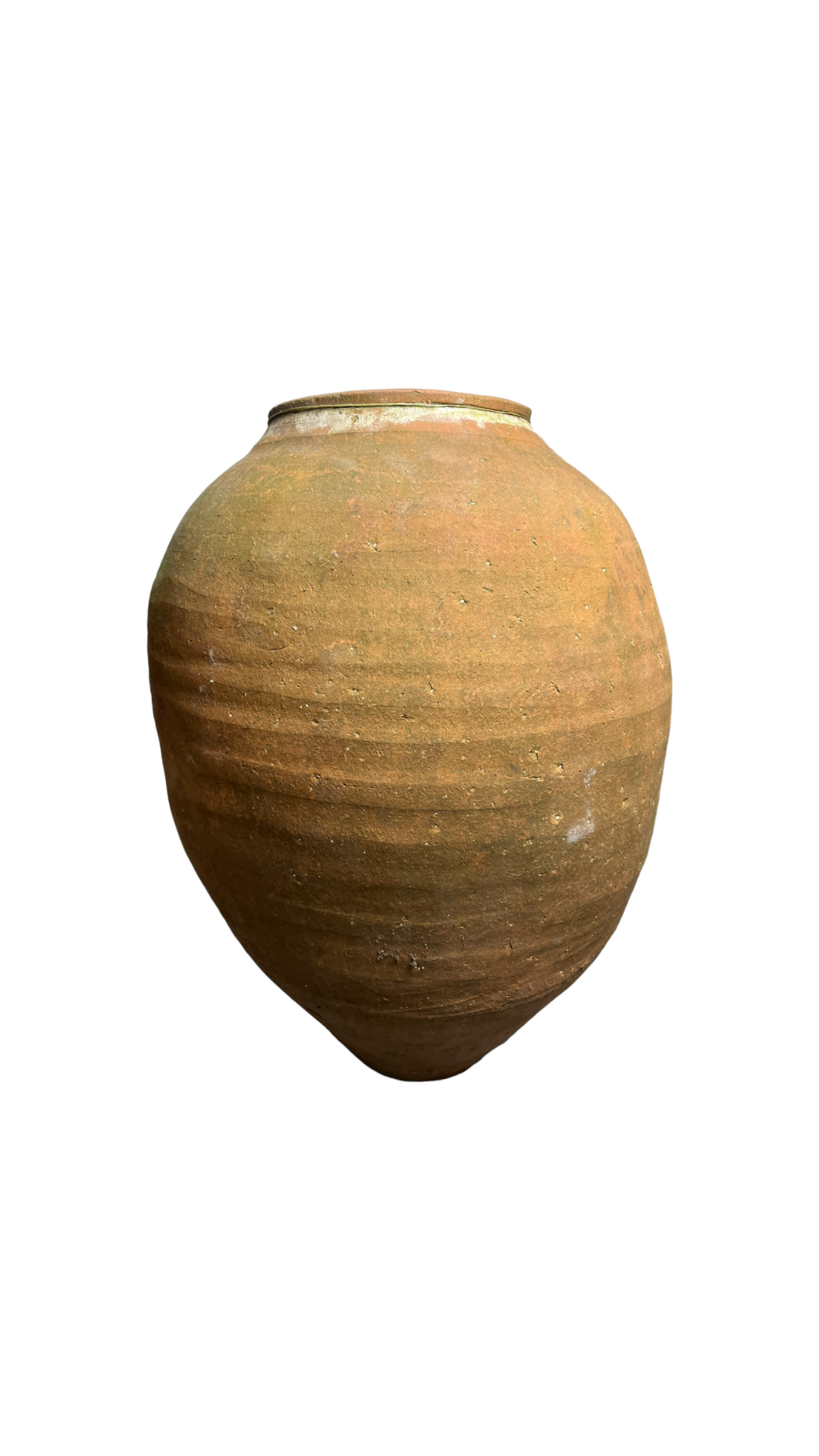 Amphore