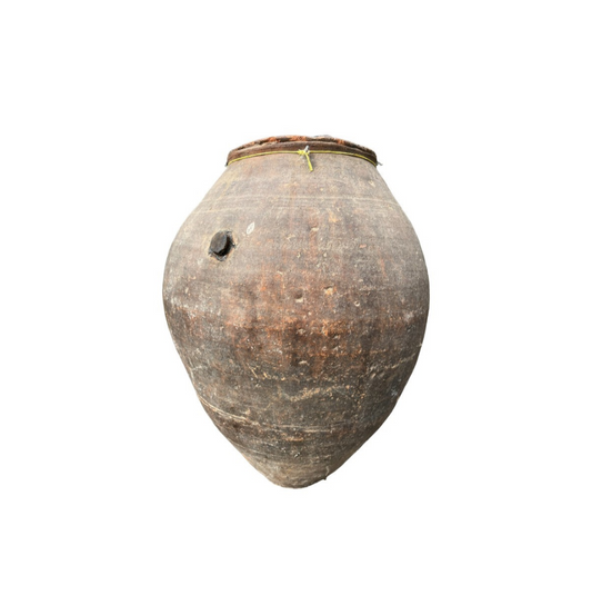 Amphore