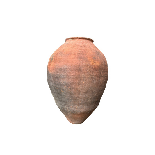 Amphore