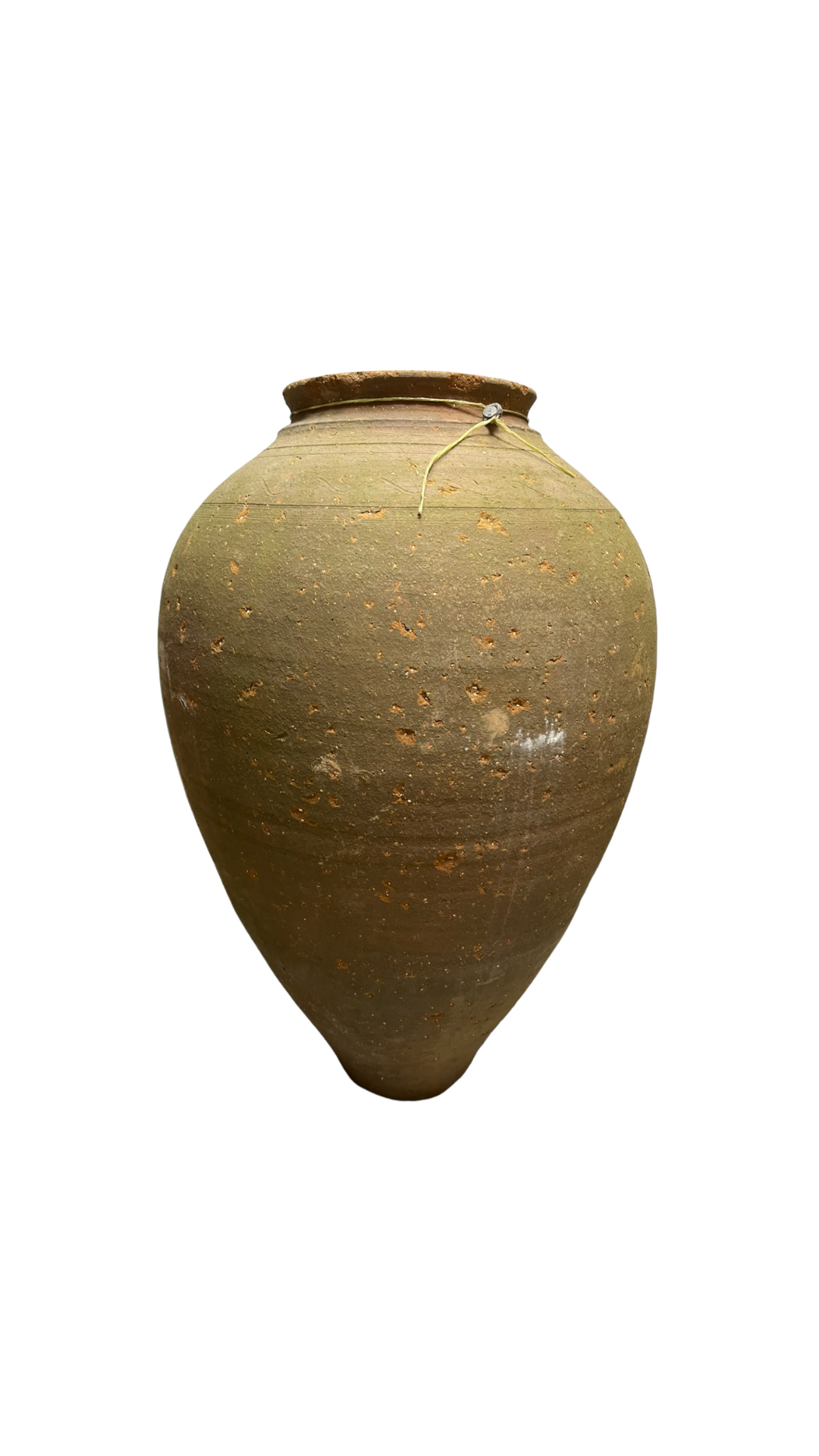 Amphora