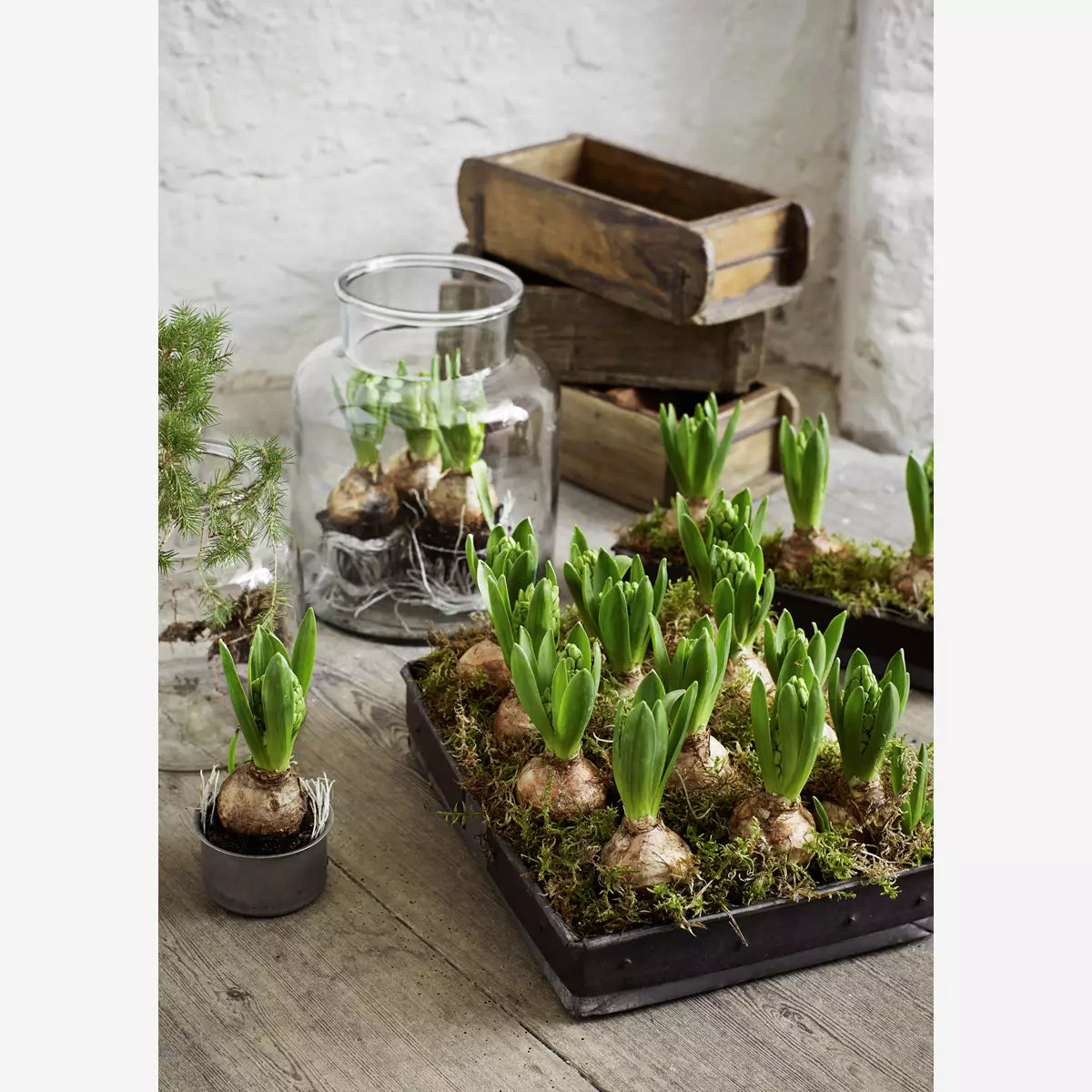 Re-Used Eisen Tray