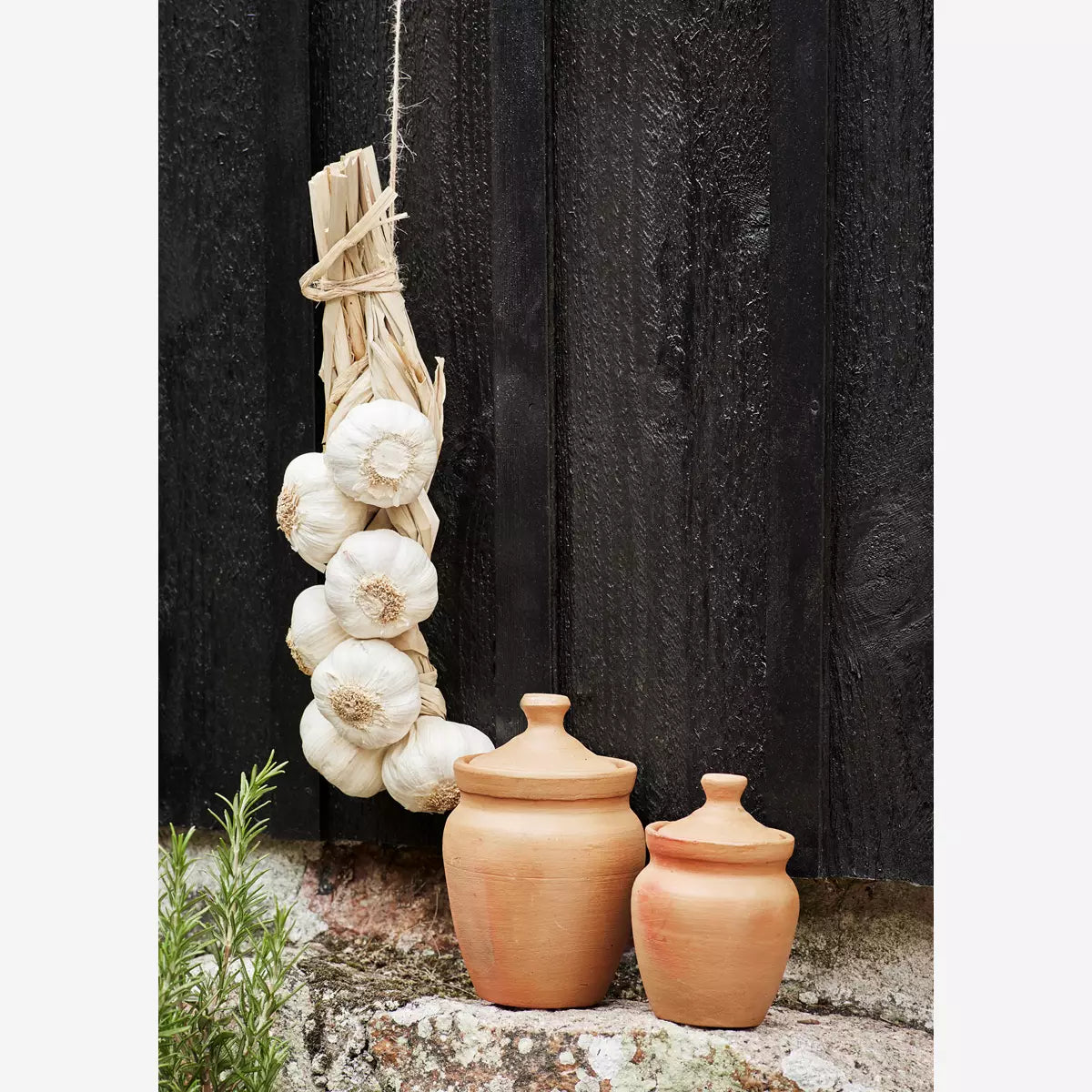 Terracotta Topf