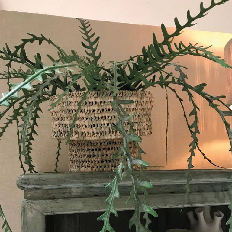 Lampe "Palm“